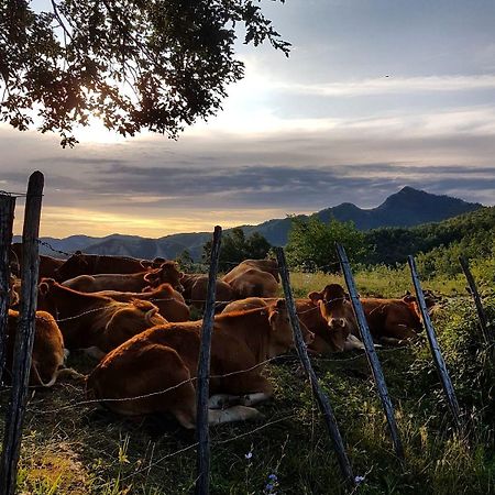 Agriturismo Il Falco Del Monte Fumaiolo Alfero Exteriör bild