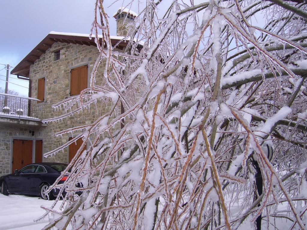 Agriturismo Il Falco Del Monte Fumaiolo Alfero Exteriör bild