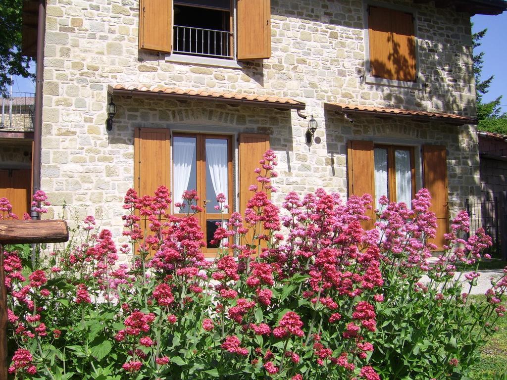 Agriturismo Il Falco Del Monte Fumaiolo Alfero Exteriör bild