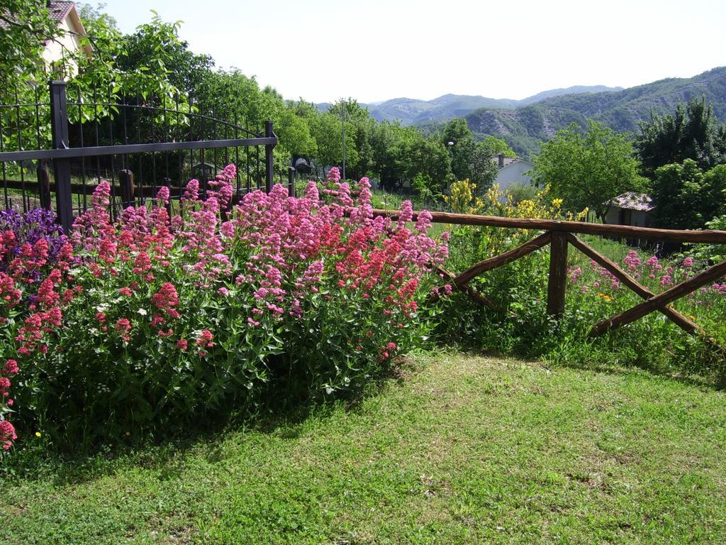 Agriturismo Il Falco Del Monte Fumaiolo Alfero Exteriör bild