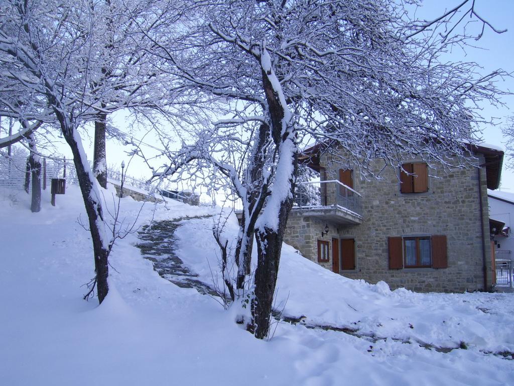 Agriturismo Il Falco Del Monte Fumaiolo Alfero Exteriör bild