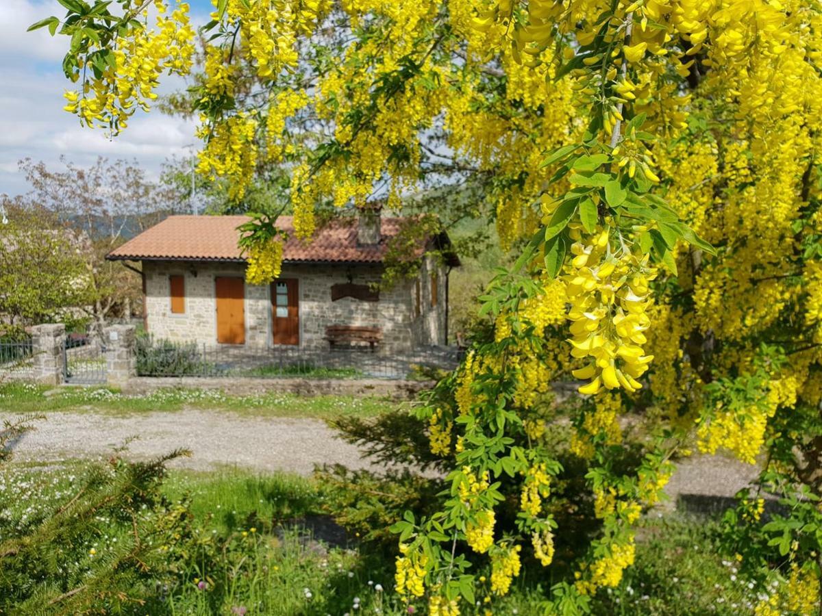 Agriturismo Il Falco Del Monte Fumaiolo Alfero Exteriör bild